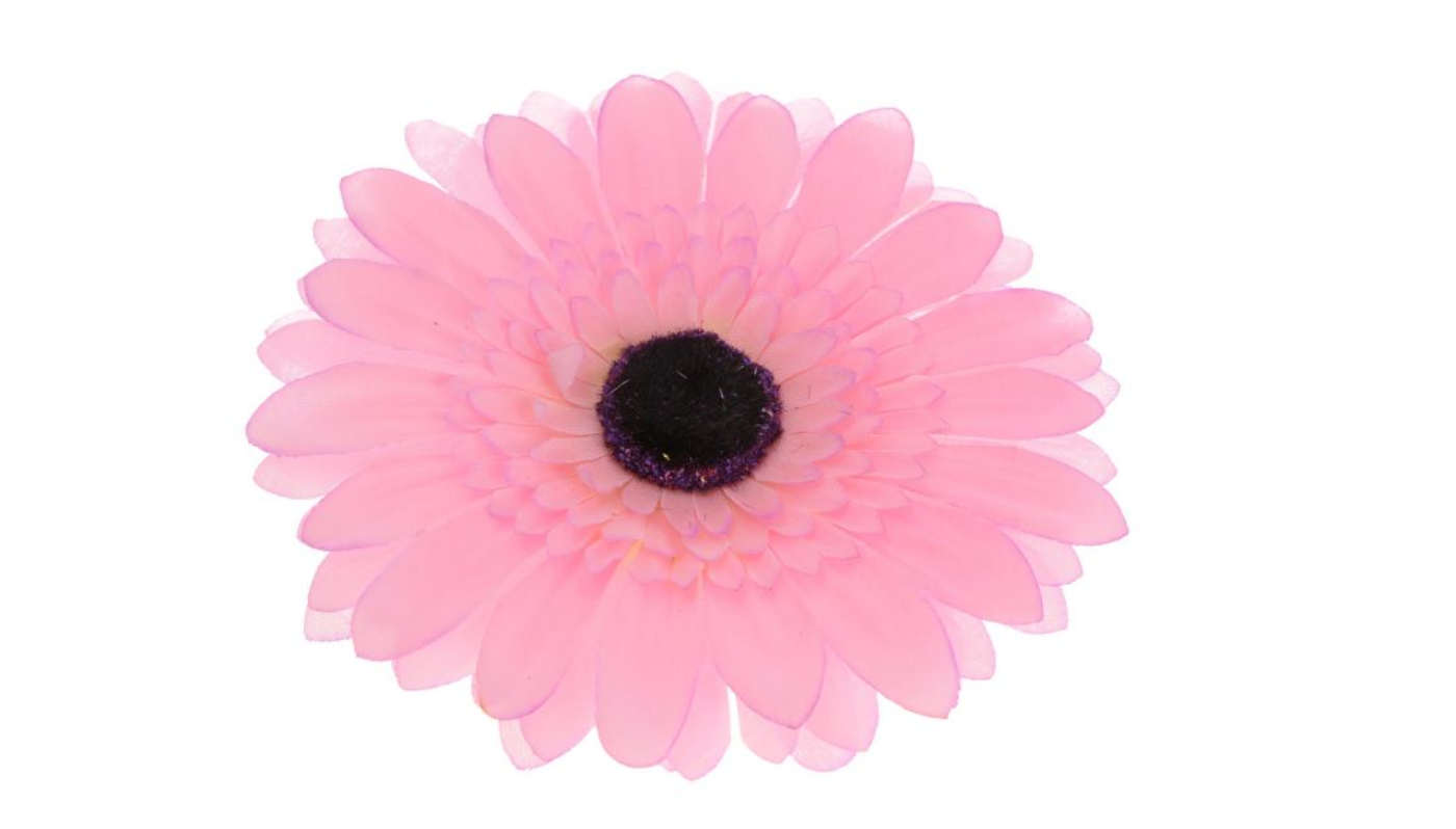 Gerbera - vazbová květina