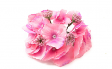 Hortenzie - vazbová květina