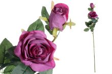 Růže x2 - fialová
