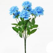 Růže x7 - sv. modrá