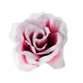 Růže satén - bordó-bílá
