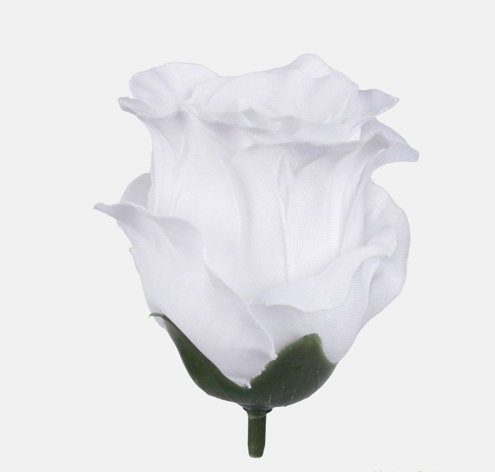 Růže vazbová poupě - bílá