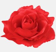Růže - umělá dekorace