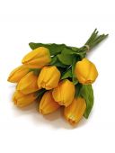 Tulipán x9 - žlutá
