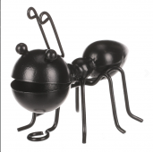 Mravenec kov - černá, velký