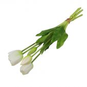 Tulipán gumový x5 - bílá, svazek